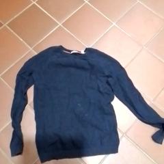 Skjorte, som rapportert av Apenheul ved bruk av iLost