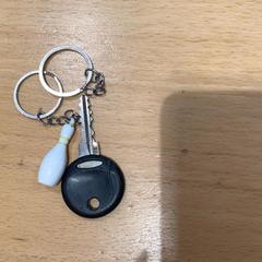 Nøkkel, som rapportert av Gemeente Gooise Meren ved bruk av iLost