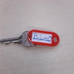 Sleutel  Rode tagg met biljart erop, iLost를 사용하여 LUMC에 보고됨