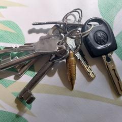 sleutels, sleutelbos, som rapporterats till iLost