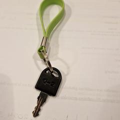 (Fiets?)Sleutel aan groen rubberen bandje, iLost에 보고됨