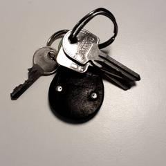 Key, as reported by Diergaarde Blijdorp using iLost