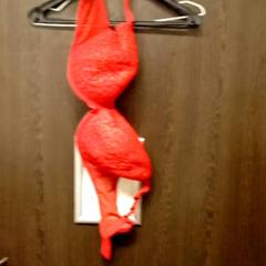 Undertøy Red, som rapportert av Mövenpick Hotel Amsterdam City Centre ved bruk av iLost