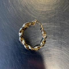 Earring goud, as reported by Burgers' Zoo using iLost