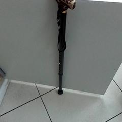 Gida bastoia cane, gisa salatu by ilévia iLost erabiliz