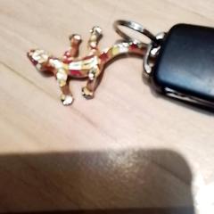 Autoschlüssel au5o, gemeldet von Beekse Bergen Resorts en Hotel über iLost