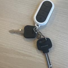 Sleutels, as reported to iLost