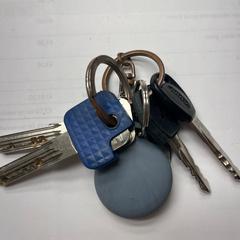 sleutelbos, iLost에 보고됨