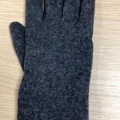 Handschuh Rechter, gemeldet von Diakonessenhuis Utrecht über iLost