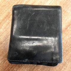 Cartera Raaijmakers, segons ha informat Qbuzz DMG mitjançant iLost