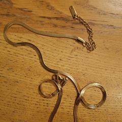 Halsketting, som rapporterats till iLost