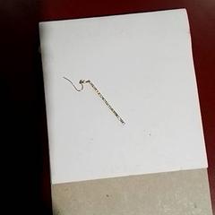 Boucle d'oreille Staafje goud, a été signalé par Apenheul utilisant iLost