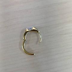 귀걸이, iLost를 사용하여 IKEA Strasbourg에 보고됨