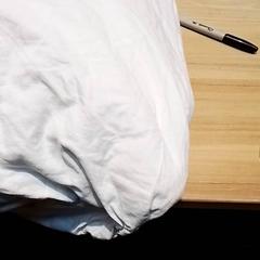 Polštář, jak nahlášeno Beekse Bergen Resorts en Hotel pomocí iLost