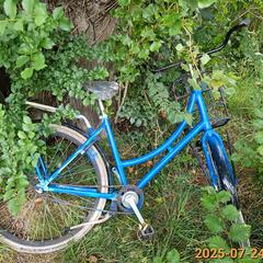 Emakumeen bizikleta blauw, gisa salatu by Gemeente Heemstede iLost erabiliz