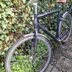 Fiets, as reported to iLost