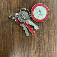 المفاتيح (متنوعة)، كما تم الإبلاغ عنه بواسطة Pathé Leeuwarden عبر iLost