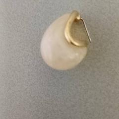 イヤリング がiLostで Padualaan 97 によって報告されました