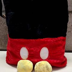 バッグ がiLostで Arriva Oost-Brabant によって報告されました