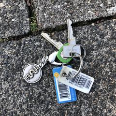 Sleutelbos / Keys, as reported to iLost