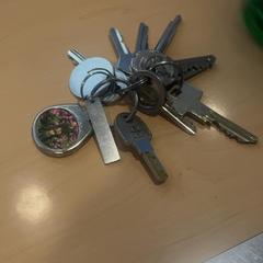 Portachiavi, come riportato da Jaarbeurs utilizzando iLost