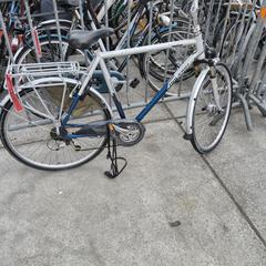 Herenfiets raleigh, som rapportert av Stadswerk072 ved bruk av iLost