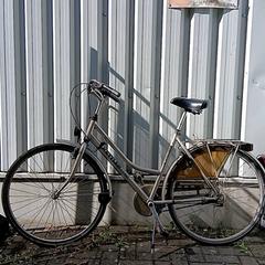 Bicicleta Kettler Zilver met groene letters, ha sido reportado por Fietsdepot Hasselt con iLost