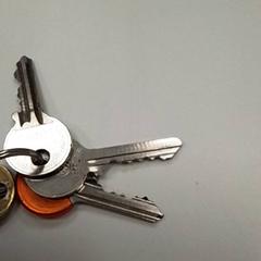 Sleutel, zoals gemeld door ilévia met iLost