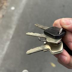 Sleutelbos, som rapportert til iLost