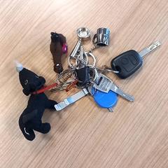 鍵・錠前・タグ がiLostで RRReis Veluwe Zuid - Ede によって報告されました