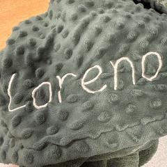 Filt groen Loreno, rapporterat av VITAZ campus Sint-Niklaas med iLost