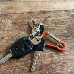 Sleutelbos, as reported to iLost