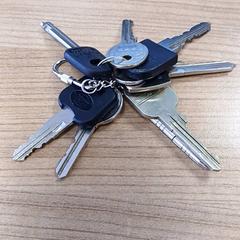 Llave Divers, ha sido reportado por Connexxion Amstelland-Meerlanden Schiphol Zuid con iLost