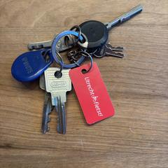 Sleutelbos, segundo informou a iLost