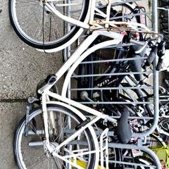 Dámské kolo diva, jak nahlášeno Stadswerk072 pomocí iLost