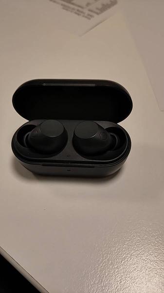 Earbuds Sony
