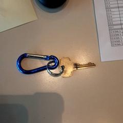 Nyckel, rapporterat av LUMC med iLost