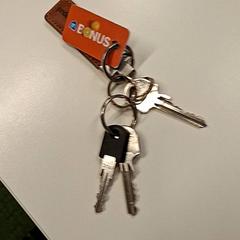 Brelok do kluczy Met bonuskaart en sleutelhanger bruin, zgłoszono przez Gemeente Hilversum przy użyciu iLost