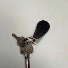 Přívěsek na klíče de, jak nahlášeno ilévia pomocí iLost