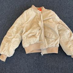 Veste, a été signalé par Breng Arnhem utilisant iLost