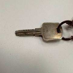 Key, as reported by ilévia using iLost