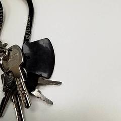 Schlüssel, gemeldet von ilévia über iLost