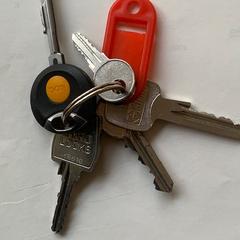 sleutelbos, as reported to iLost