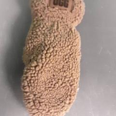 Luva, como reportado por Diergaarde Blijdorp utilizando o iLost