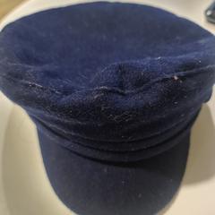 Pet, zgłoszono przez Pathé de Kuip przy użyciu iLost