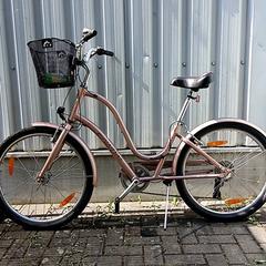Bicicleta townie Metalic roze, ha sido reportado por Fietsdepot Hasselt con iLost