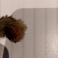 İLost kullanarak De Efteling tarafından bildirildiği gibi Sevimli oyuncak