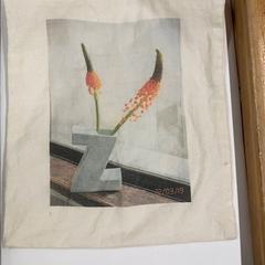 Eko taška, ako bolo nahlásené IKEA横浜 pomocou iLost