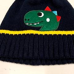 Beanie, amint azt Arriva Limburg Zuid az iLost segítségével jelentette.