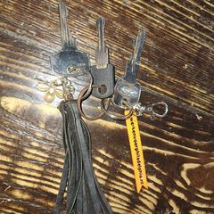 Sleutelbos, come riportato a iLost